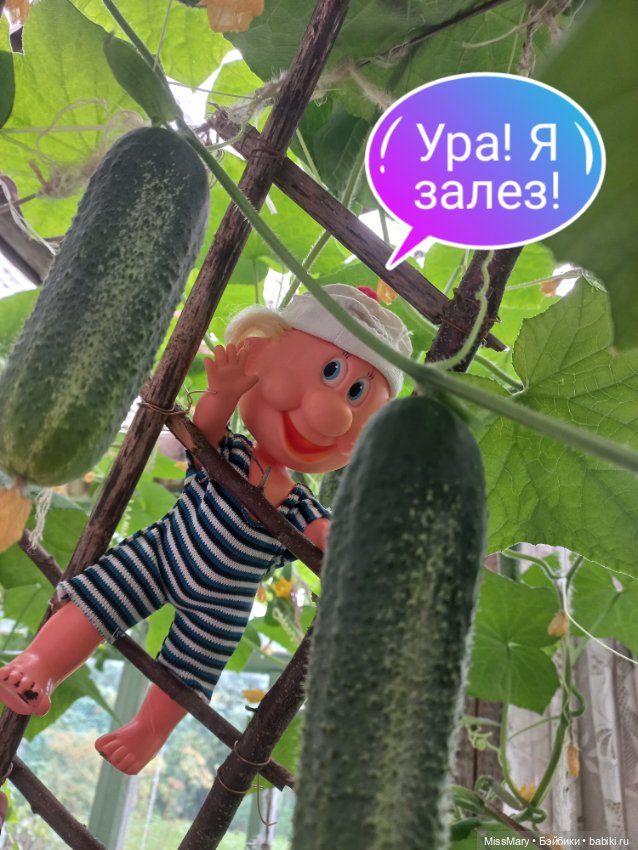 Весёлые картинки. "Огурцы-молодцы"