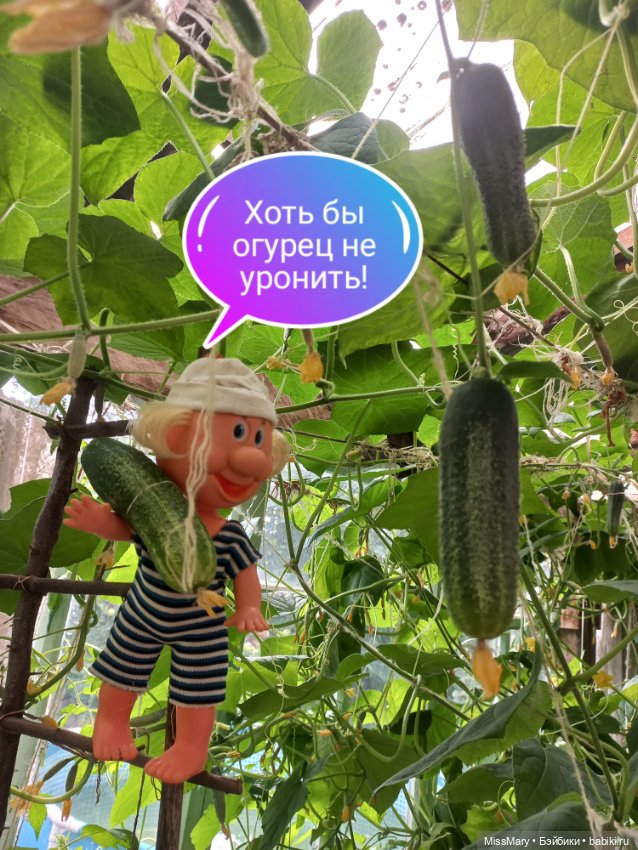 Весёлые картинки. "Огурцы-молодцы" (фото 9)