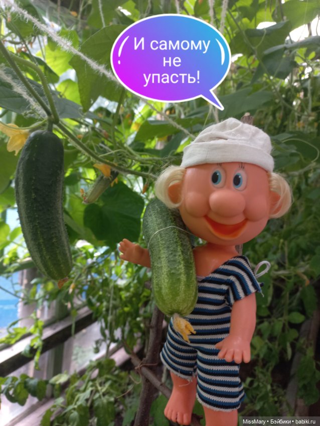 Весёлые картинки. "Огурцы-молодцы" (фото 10)