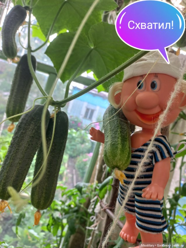 Весёлые картинки. "Огурцы-молодцы" (фото 5)