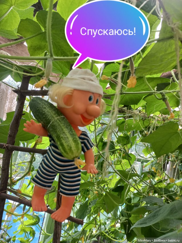 Весёлые картинки. "Огурцы-молодцы" (фото 7)