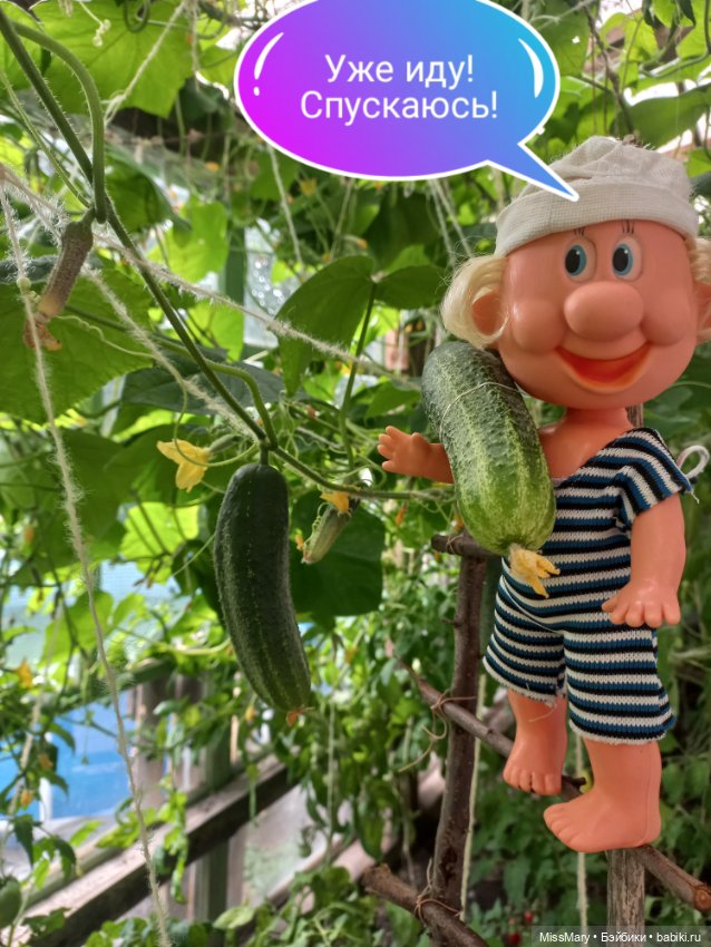 Весёлые картинки. "Огурцы-молодцы"