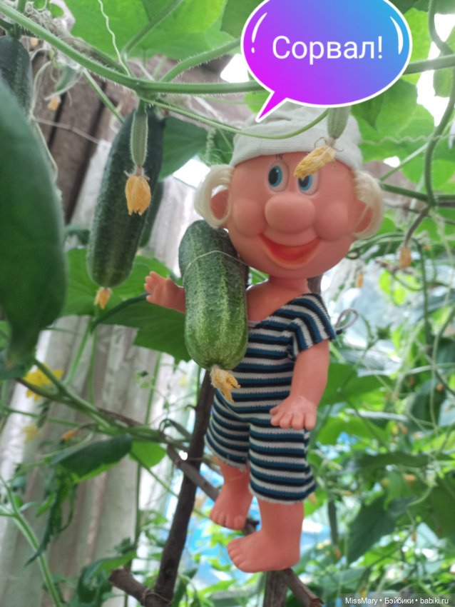 Весёлые картинки. "Огурцы-молодцы" (фото 6)