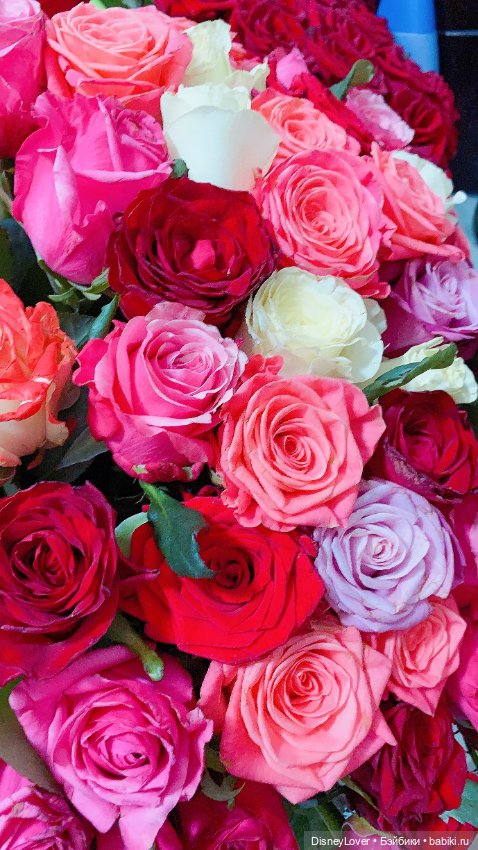 Куклы и цветы, новые фото (фото 6)