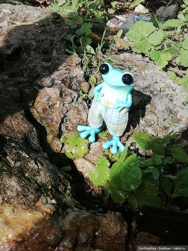 Apo frogs. Маркус. Знакомство (фото 2)