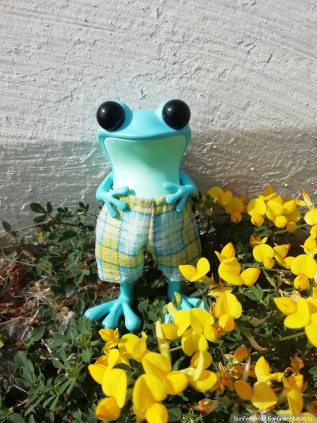 Apo frogs. Маркус. Знакомство (фото 10)