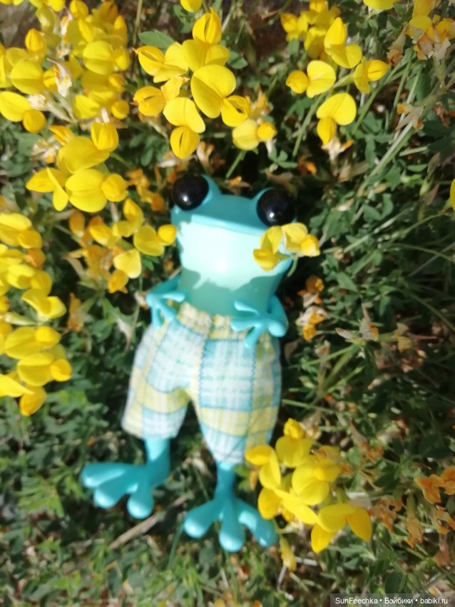 Apo frogs. Маркус. Знакомство (фото 4)