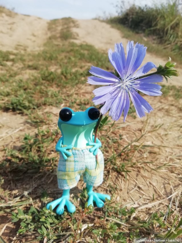 Apo frogs. Маркус. Знакомство