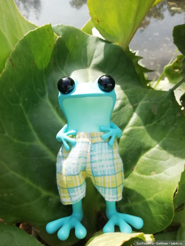 Apo frogs. Маркус. Знакомство (фото 7)