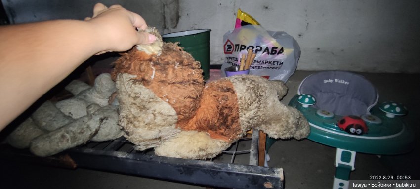 Помогите опознать бедняг спасённых с помойки (фото 4)