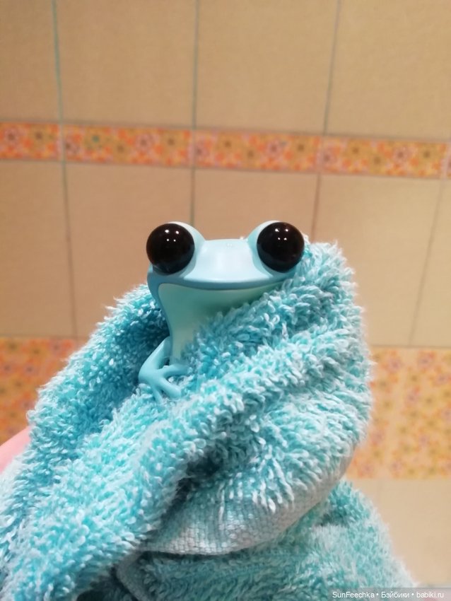 Apo frogs. Маркус. Знакомство