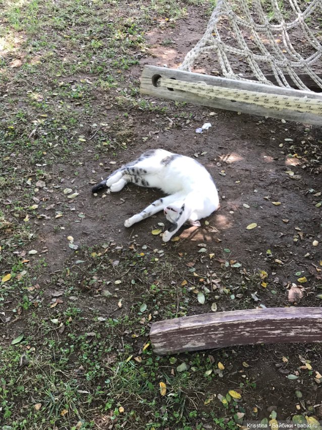 Лёлька — Домашние фото авторских кукол: личные коллекции