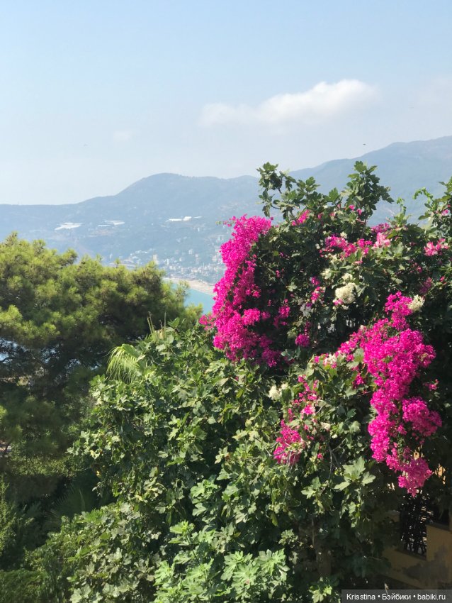 Лёлька — Домашние фото авторских кукол: личные коллекции