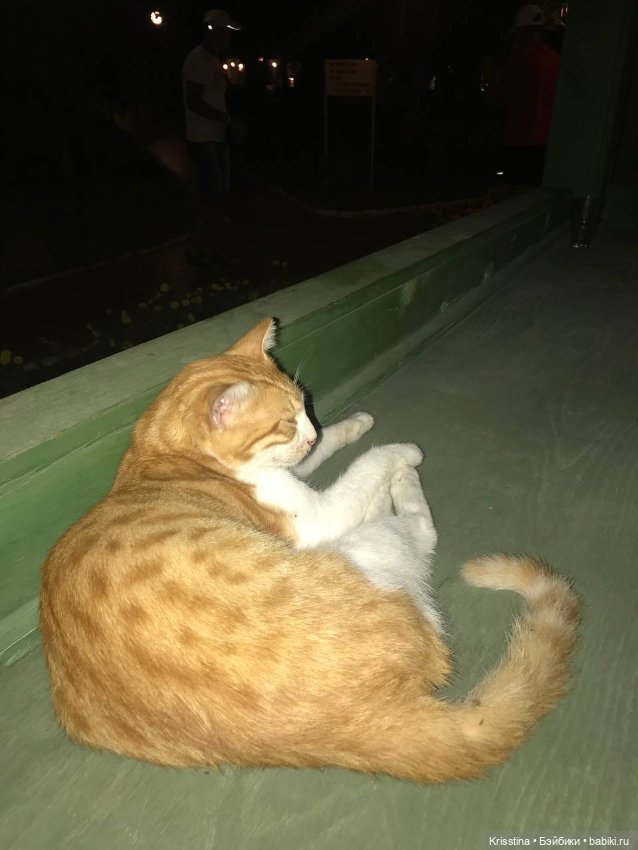 Лёлька — Домашние фото авторских кукол: личные коллекции