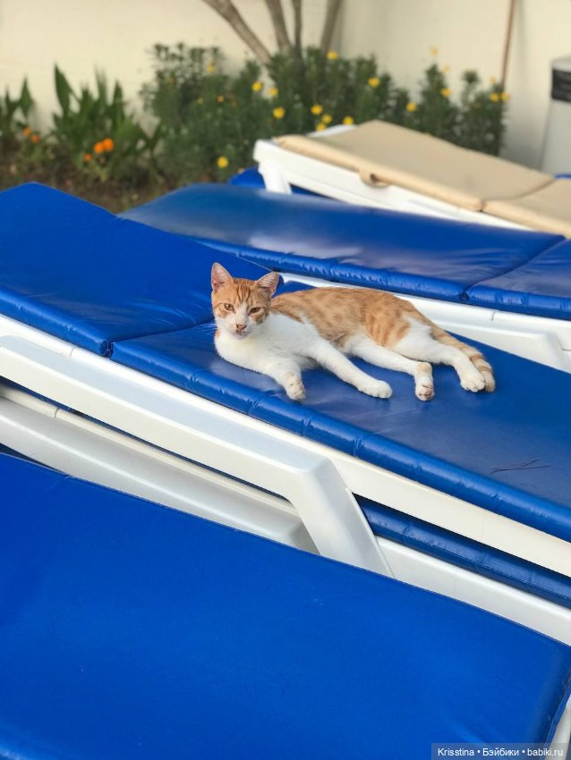 Лёлька — Домашние фото авторских кукол: личные коллекции