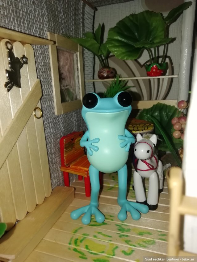 Apo frogs. Маркус. Знакомство