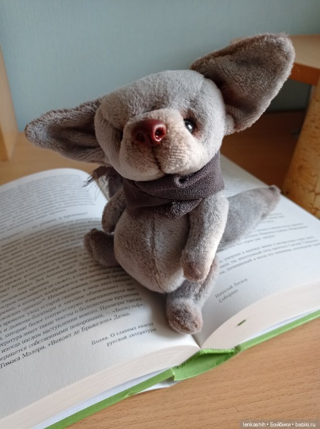 Ушастый любознательный Лисёнок (фото 4)