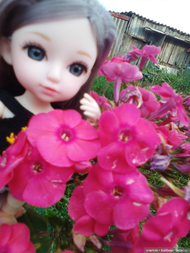 Лето – это маленькая жизнь!🌅