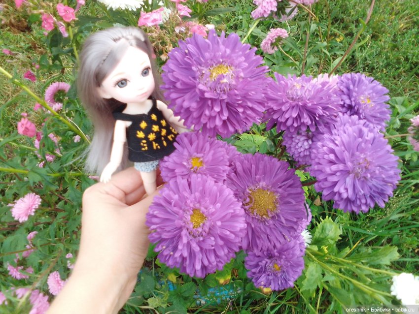 Лето – это маленькая жизнь!🌅 (фото 7)