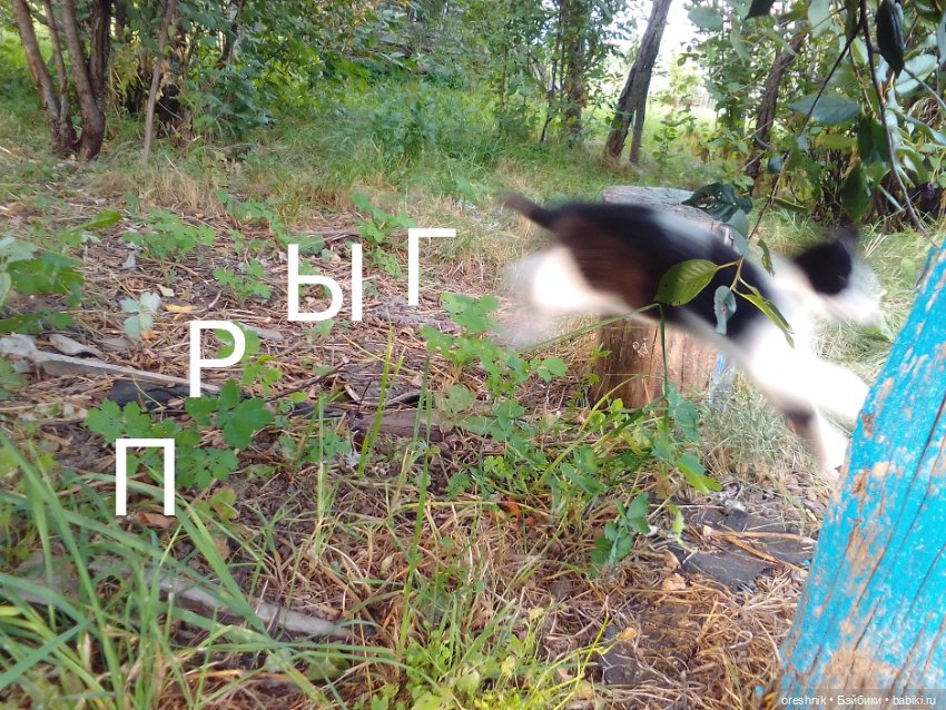 Лето – это маленькая жизнь 2🌅