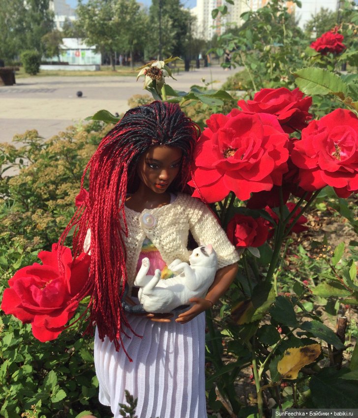 У Бебиты новый питомец - котик Джеральд (фото 6)