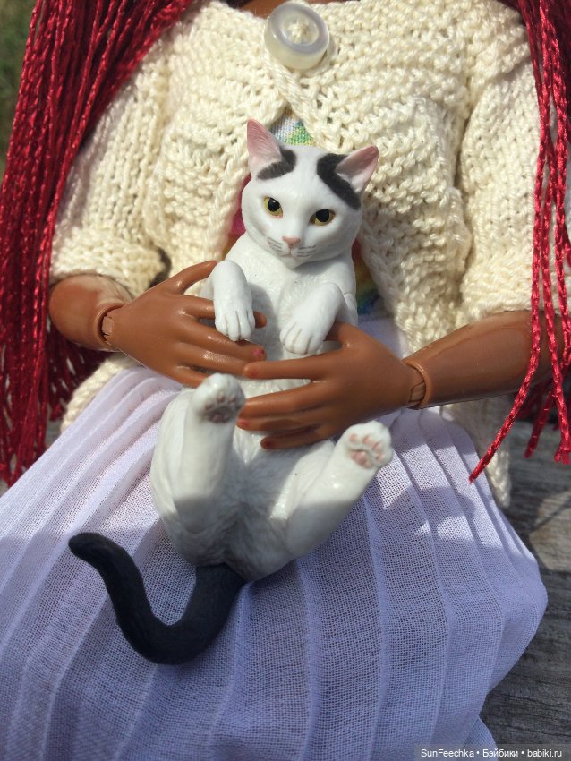 У Бебиты новый питомец - котик Джеральд (фото 3)