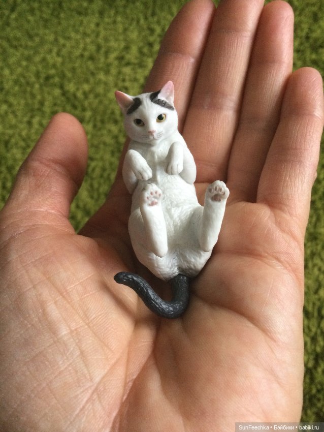 У Бебиты новый питомец - котик Джеральд