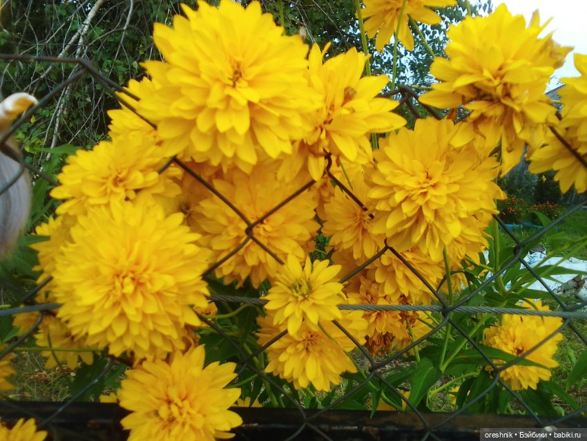 Лето – это маленькая жизнь 3🌅 (фото 6)