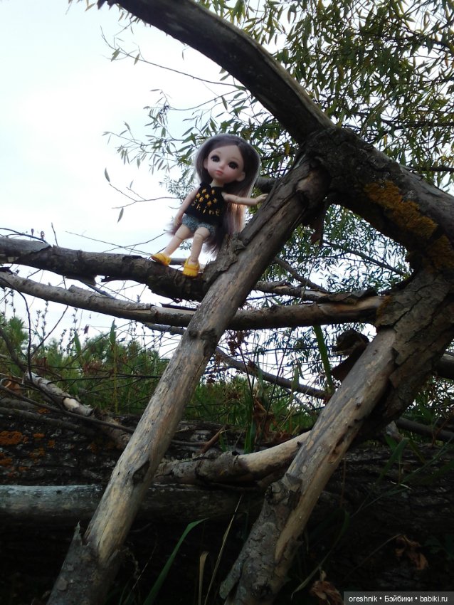 Лето – это маленькая жизнь 4🌅