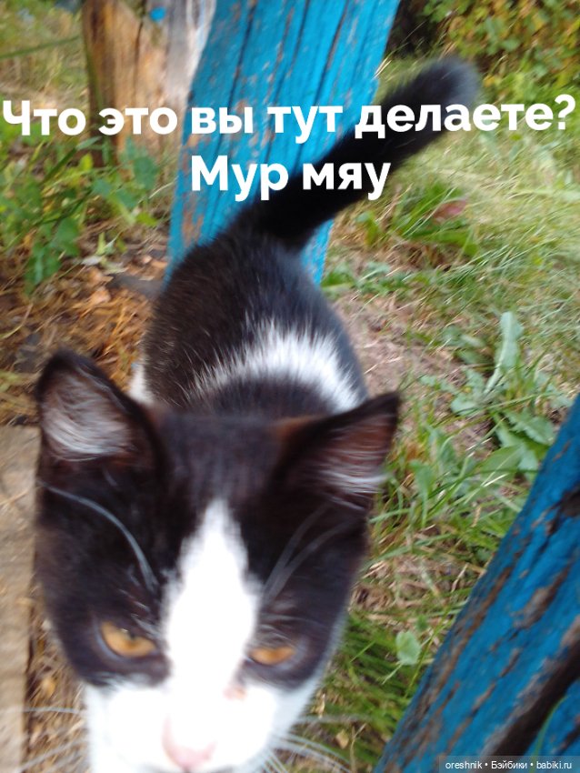 Лето – это маленькая жизнь 2🌅 (фото 2)