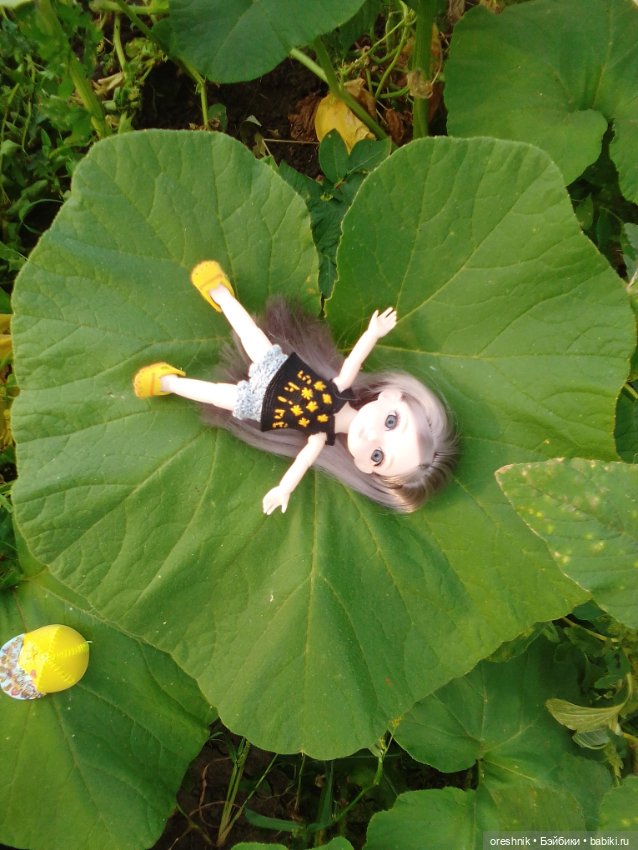 Лето – это маленькая жизнь 3🌅