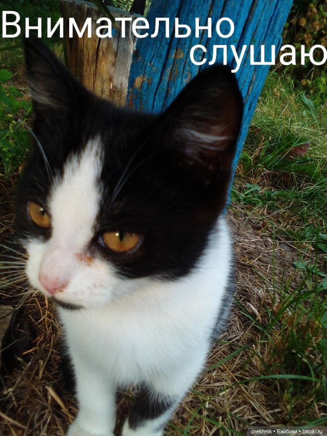 Лето – это маленькая жизнь 2🌅 (фото 4)