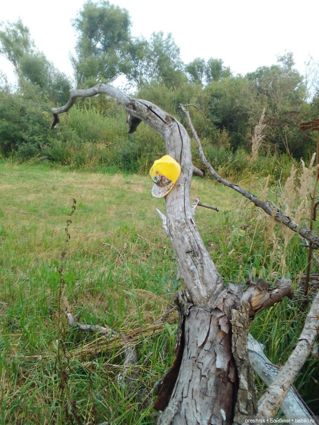 Лето – это маленькая жизнь 4🌅 (фото 4)