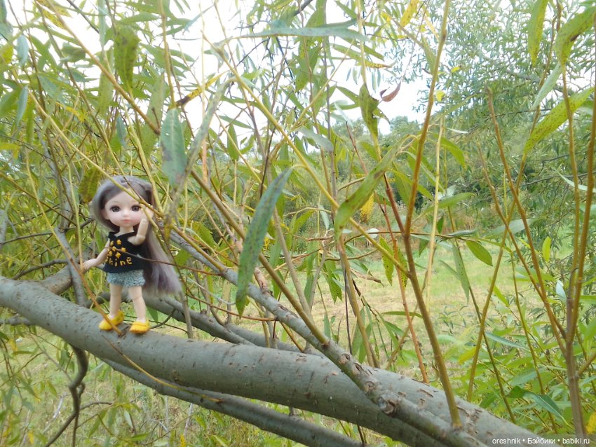 Лето – это маленькая жизнь 4🌅 (фото 8)