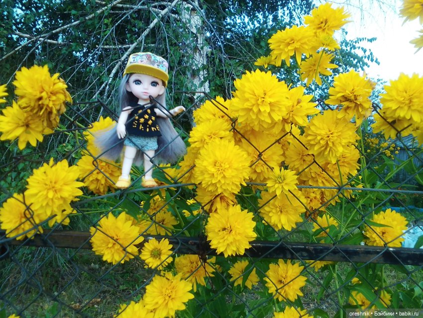 Лето – это маленькая жизнь 3🌅 (фото 4)