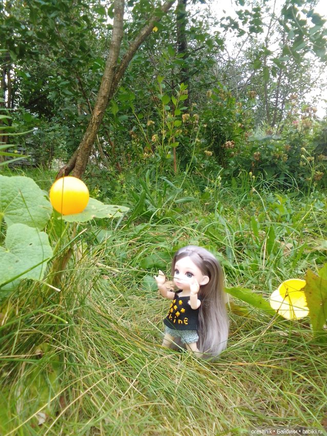 Лето – это маленькая жизнь 2🌅