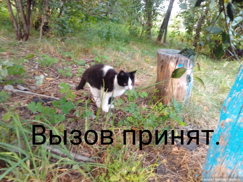 Лето – это маленькая жизнь 2🌅