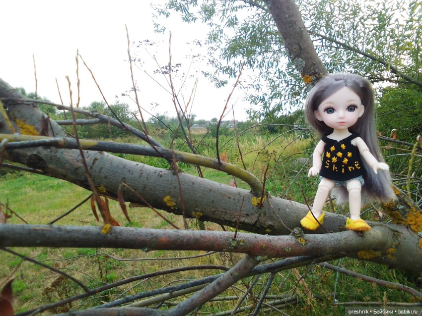 Лето – это маленькая жизнь 4🌅 (фото 5)