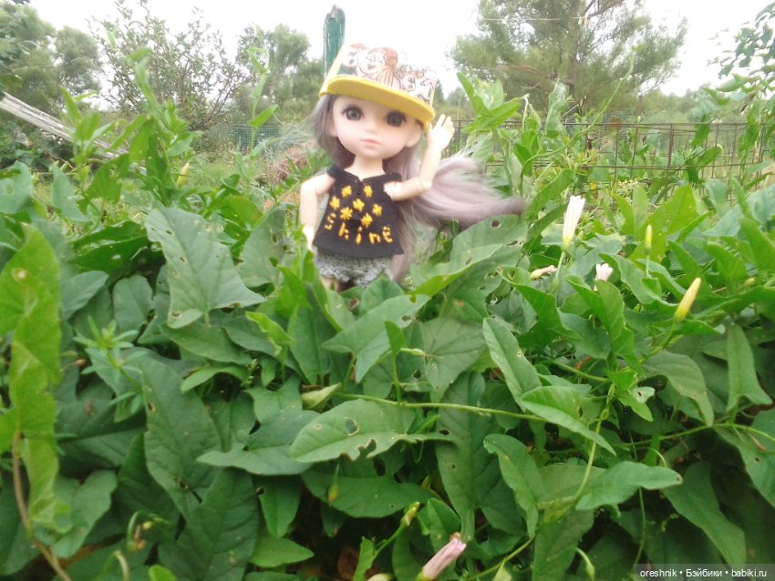 Лето – это маленькая жизнь 3🌅 (фото 8)