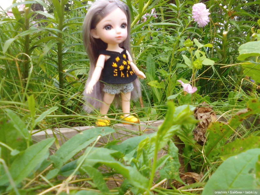 Лето – это маленькая жизнь 2🌅