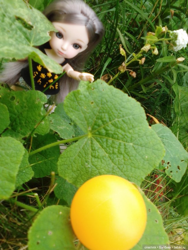 Лето – это маленькая жизнь 2🌅