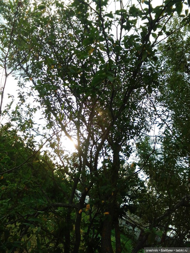 Лето – это маленькая жизнь 4🌅