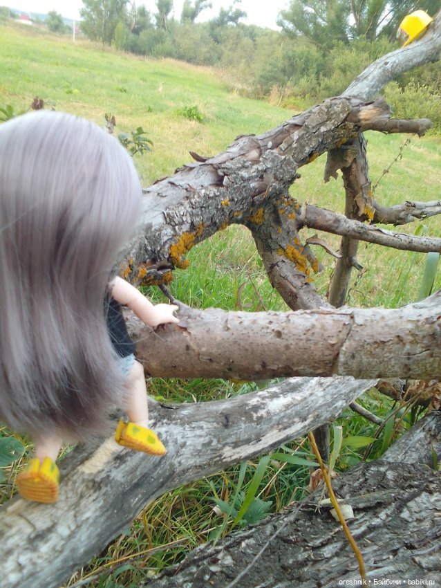 Лето – это маленькая жизнь 4🌅 (фото 3)