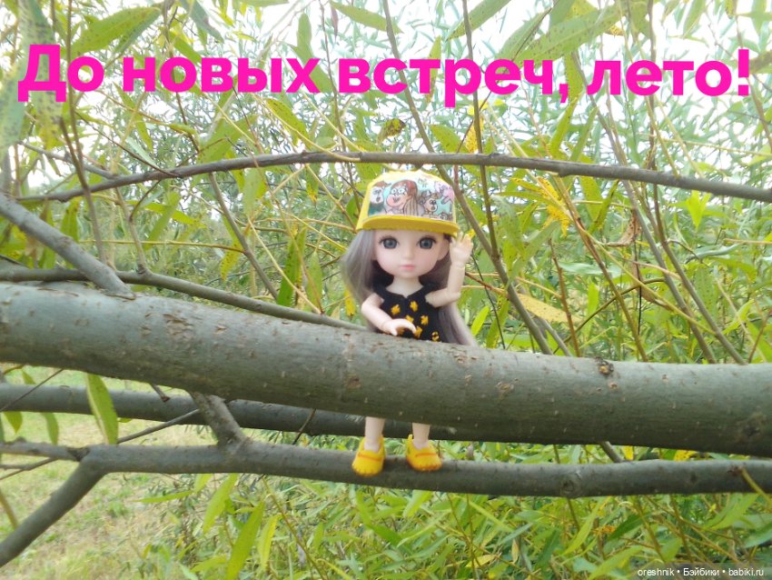 Лето – это маленькая жизнь 4🌅