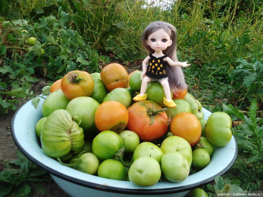 Лето – это маленькая жизнь 3🌅