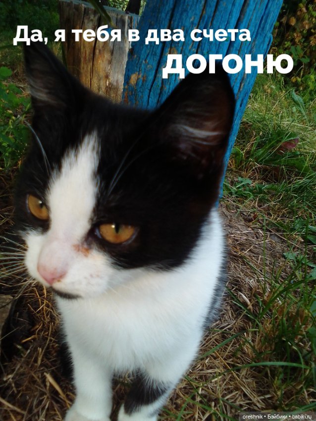 Лето – это маленькая жизнь 2🌅 (фото 8)