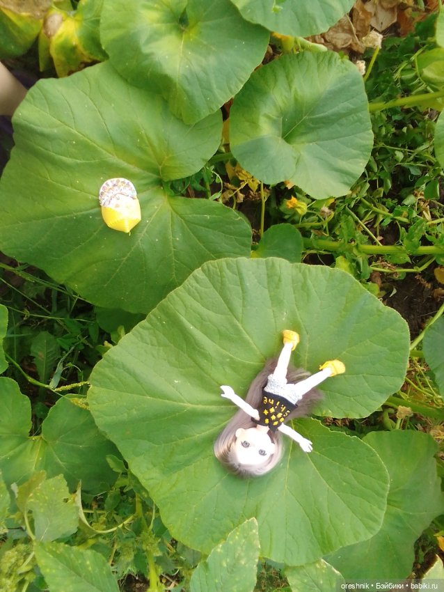 Лето – это маленькая жизнь 3🌅