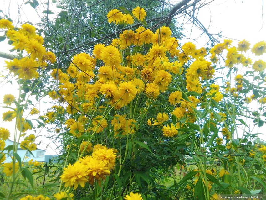 Лето – это маленькая жизнь 3🌅