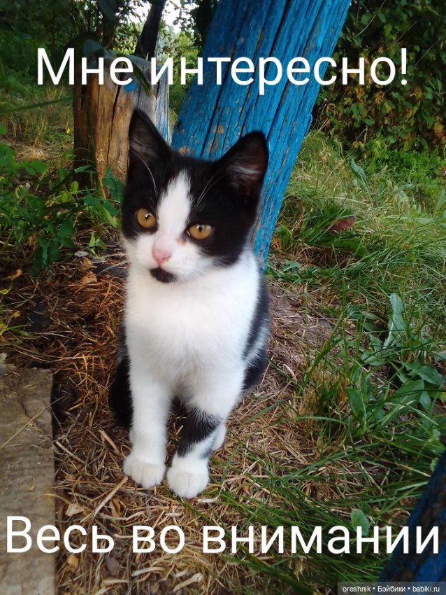 Лето – это маленькая жизнь 2🌅 (фото 3)