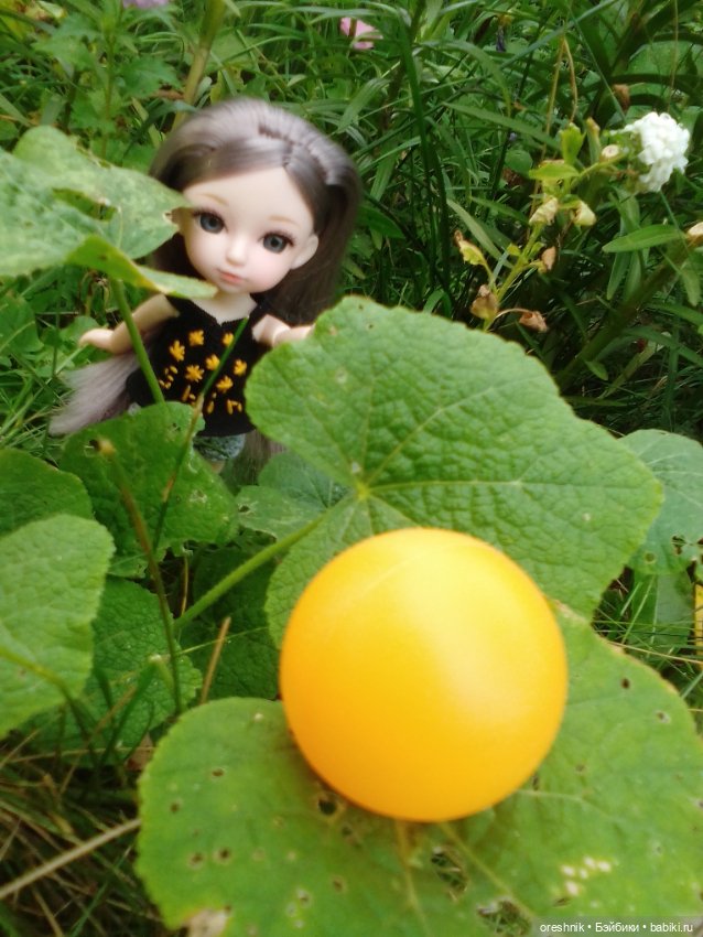 Лето – это маленькая жизнь 2🌅